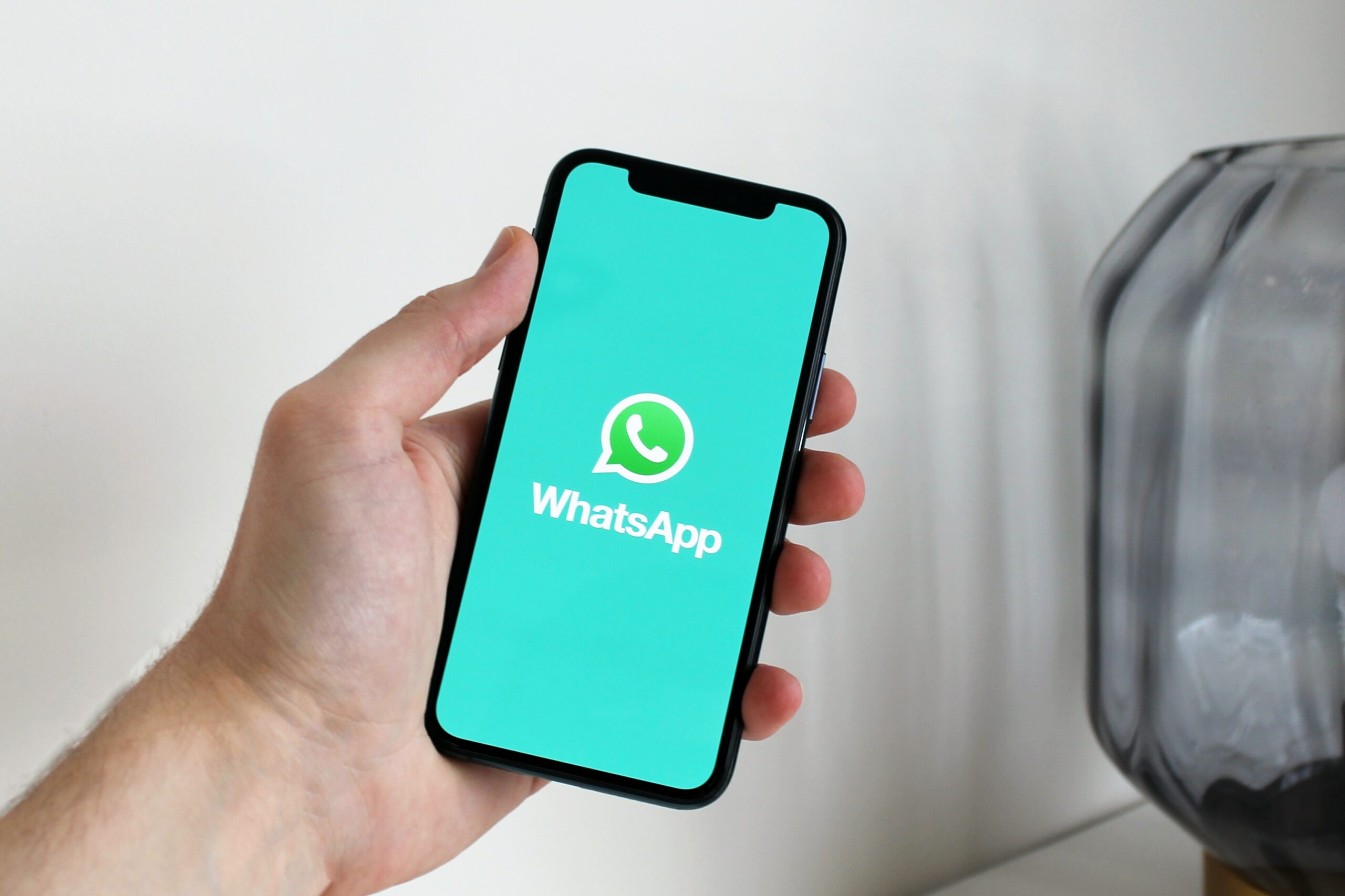 WhatsApp GB plus Atualizado 2023: Saiba como baixar Android e IOS